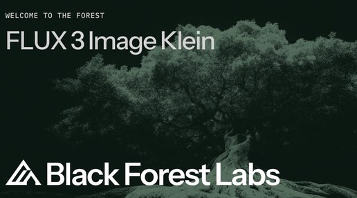 FLUX 3 Image Klein 开源权重发布主视觉