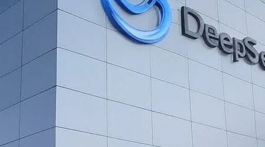 DeepSeek 办公楼外墙 Logo